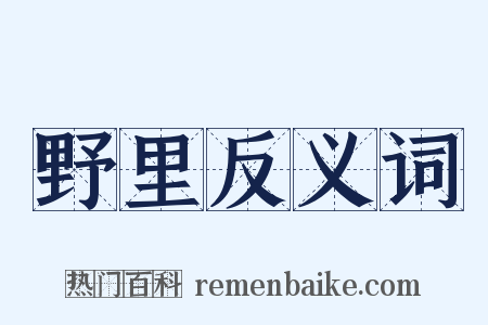 野里反义词是什么意思的图片